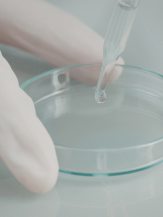 embryokweek voor onderzoek in een petrischaal