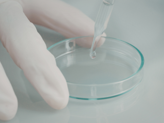 embryokweek voor onderzoek in een petrischaal