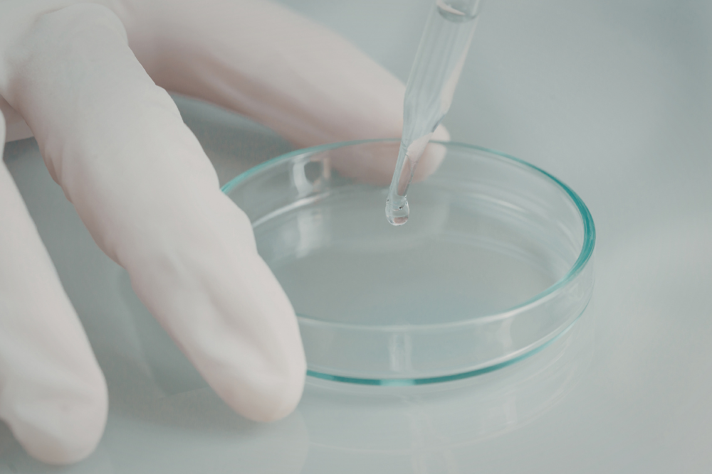 embryokweek voor onderzoek in een petrischaal